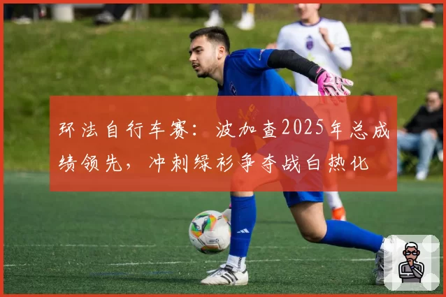 环法自行车赛：波加查2025年总成绩领先，冲刺绿衫争夺战白热化