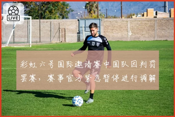 彩虹六号国际邀请赛中国队因判罚罢赛，赛事官方紧急暂停进行调解